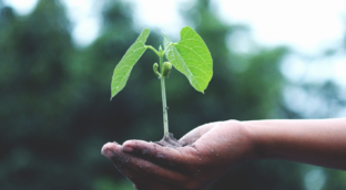 agricoltura-y-turismo-sostenible-para-la-consolidación-de-la-paz-en-colombia