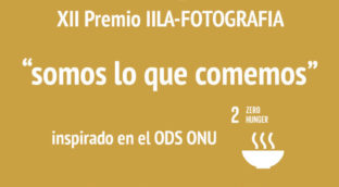 bannerino_instagram_np_ciotole