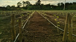 IMG_20191013_165949-01