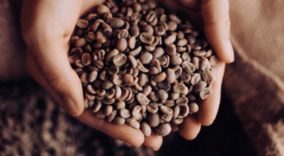 caffè