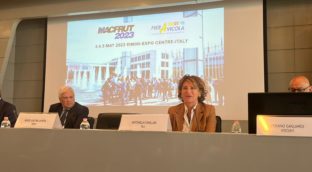 WhatsApp Image 2023-04-13 at 16.18.16