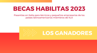 Copia di pnghabilitas2