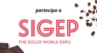 sigep (1)