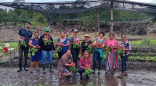 456554897_491308336875223_3288044281329249298_n