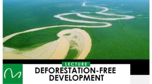 LOCANDINA SVILUPPO SENZA DEFORESTAZIONE 16.10.2024 MV_ok