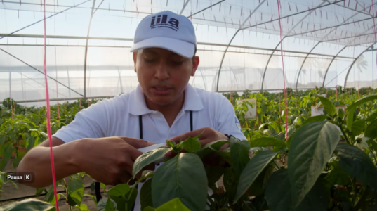 Screenshot 2025-12-09 123605