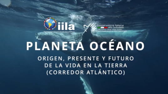 Screenshot 2026-01-23 102850