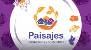 pps5
