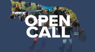 Open calls