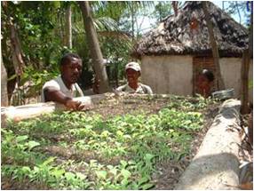 Creazione di vivai per la produzione di piante necessarie alla riforestazione. 2005-2008